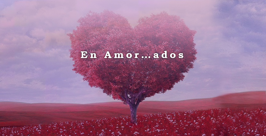 blog 870x445 amor