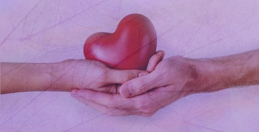 blog 870x445 organos